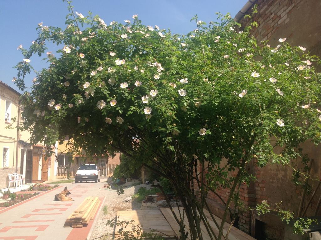 B&B Ciliegio Felice 몰리넬라 외부 사진